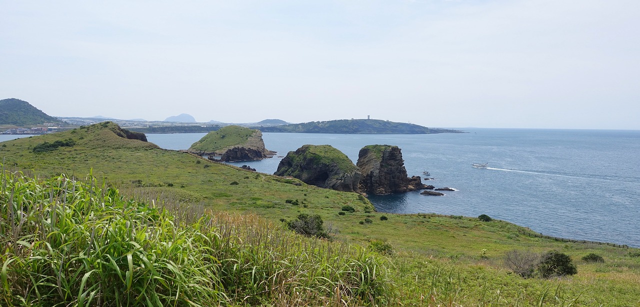 제주 전기차 충전카드