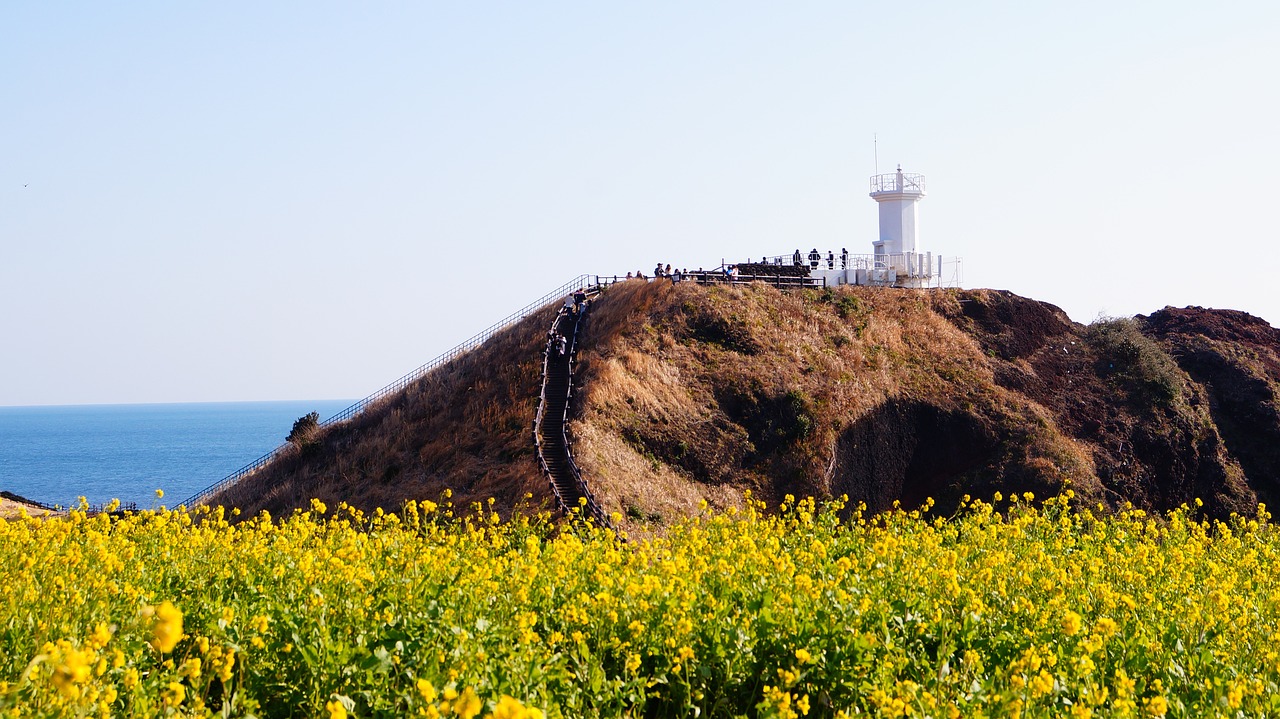 제주도 전기차 충전카드