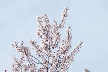 트레블월렛 카드 등록 꿀팁 알아보자