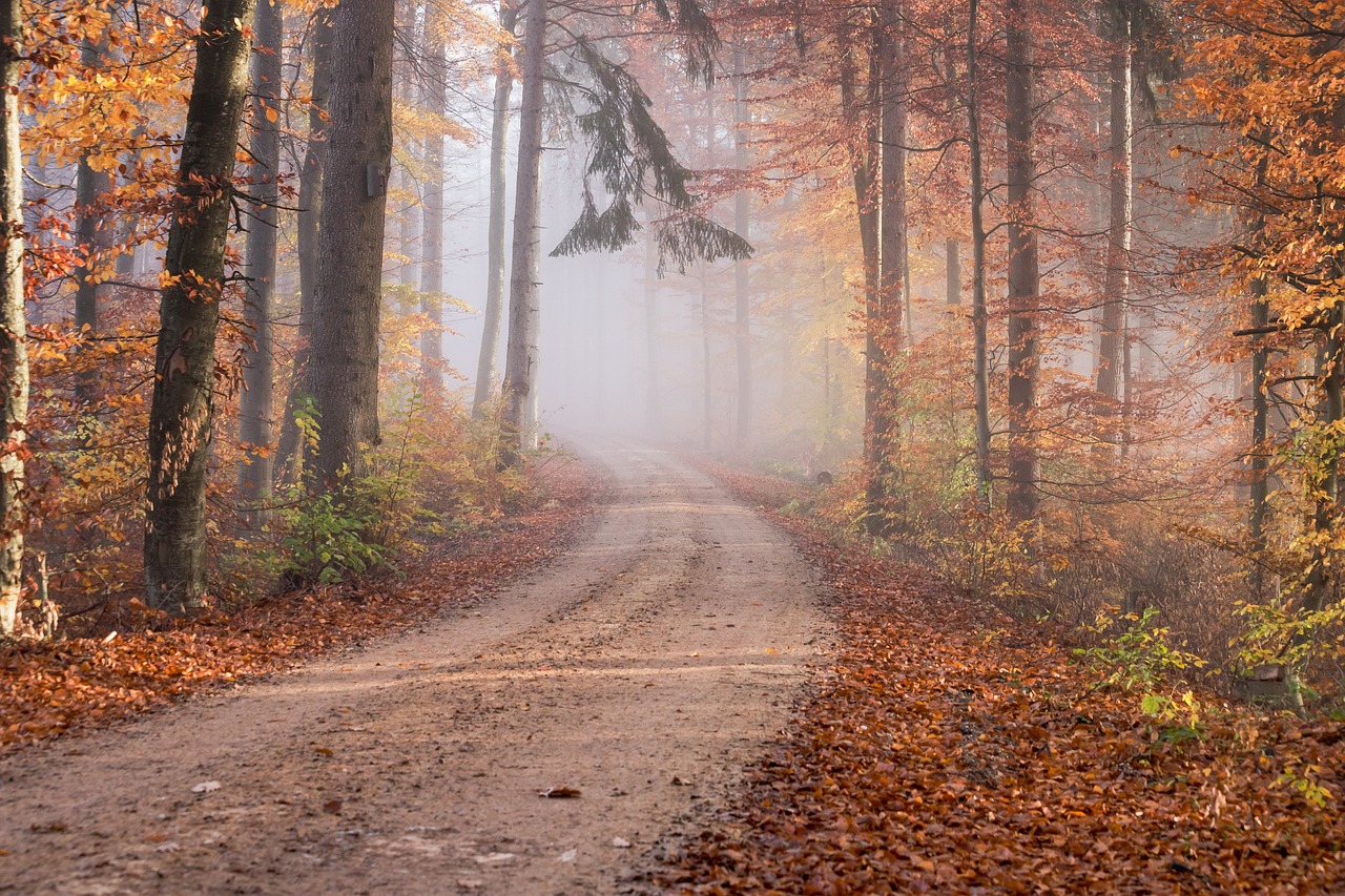fall