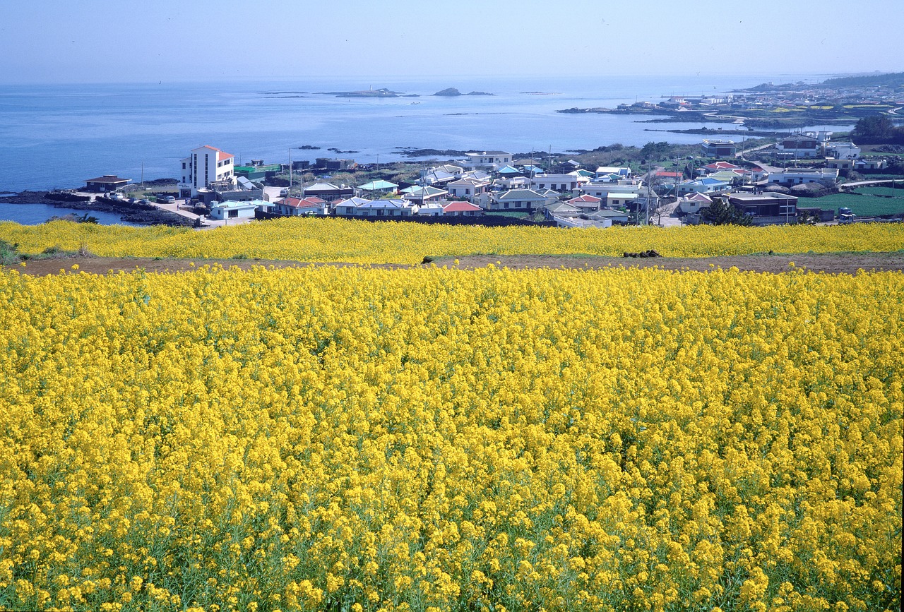 4월 제주도 날씨
