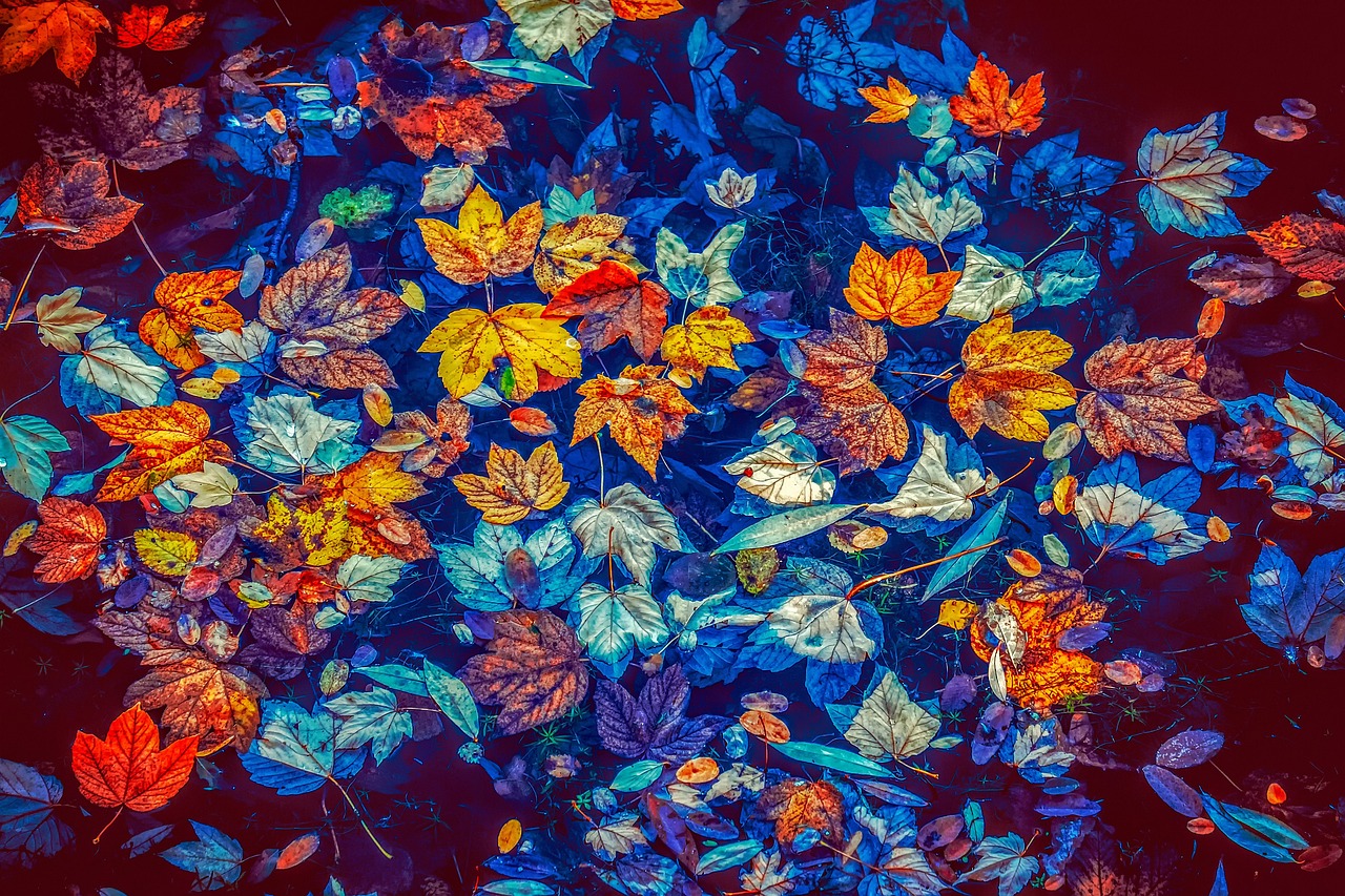 fall