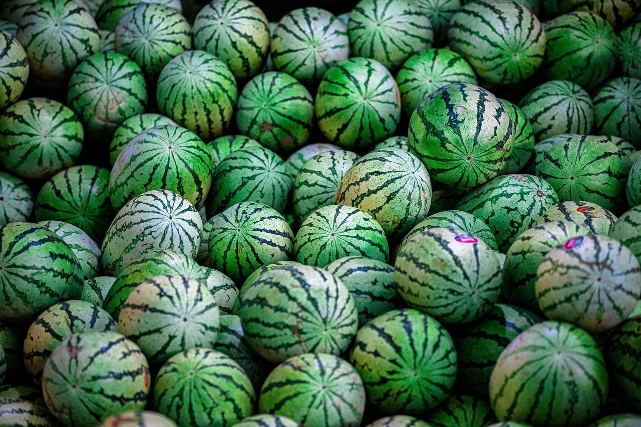 멜론 이용권