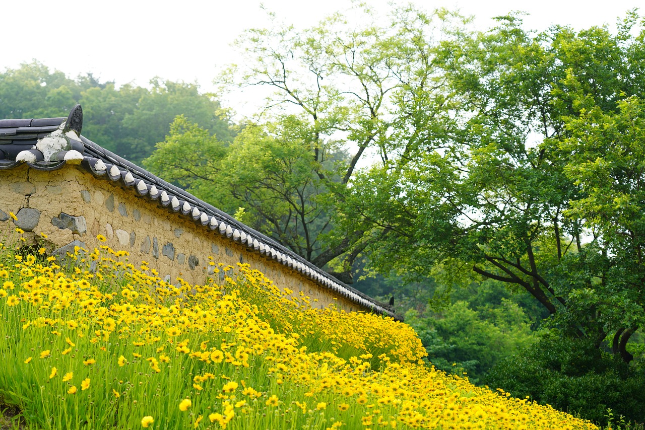 경상대